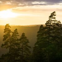 Sonnenuntergang an den Himmelsliegen am Langforchenweg
