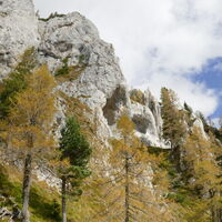 der Steig wird flacher und der Herbst zeigt sich von seiner schönsten Seite