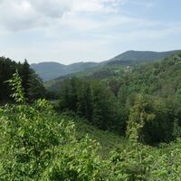 Scheibenhof