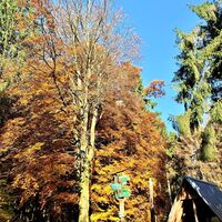 Rennsteig