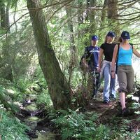 Wandern auf naturbelassenen Wegen im Sauerland