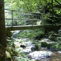 Hinterbrühl- Brückenquerung, ApfelLand Stubenbergsee in der Oststeiermark