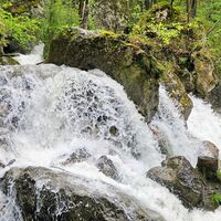 Viel Wasser