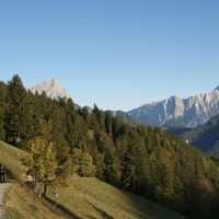 Der Abstiegsweg zum Buchauer Sattel
