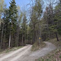 Die wirklichen Berggeher zweigen hier rechts ab zum Mariensteig durch die Eng auf die Knofeleben