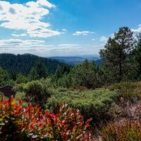 Rennsteiggarten Oberhof, Aussicht am Pfanntalskopf