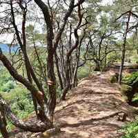 Weg nahe Jungfernsprung