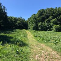 Weg auf Höhe des Crêt du Nu