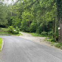 hier bei der Linkskurve gradaus weiter den unmarkierten Forstweg rauf