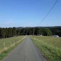 Zwischen Berkey und Mummesohl führt der Wanderweg entlang der kleinen Straße