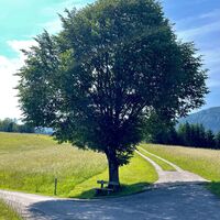 Grabenrundweg Opponitz