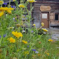 nicht bewirtschaftete Heubergalm