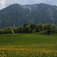 Seeberg von Hochkreuth