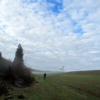 Entlang des Waldrandes