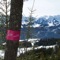 Schneeschuhtrail Schwarzenbühl-Panoramatrail