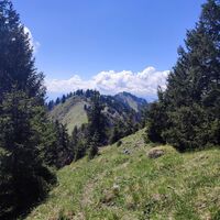 im Abstieg Blick auf den Karkopf, dahinter der Feichtkopf