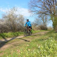 Auf dem Harzer Grenzweg bei Isingerode