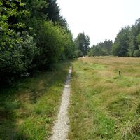 Wanderweg zwischen Pulsnitz und Großröhrsdorf