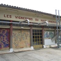 Oenorando des Mourels0010 ©CDRP34
