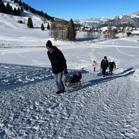 Schlitteloption entlang des Winterwanderwegs