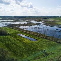 Theikenmeer