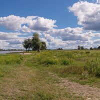 Elbauenlandschaft bei Hitzacker