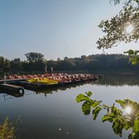 Wandern rund um den Noswendeler See