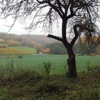 Landschaft bei der Galgenhohle