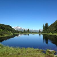 Wiegensee Biehlerhöhe