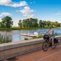 Radfahrerin auf dem Elberadweg in Elster