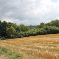 Abstieg nach Diedelkopf