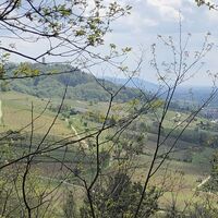 Tourismus Service Bergstrasse Burgensteig Bensheim Hemsberg Blick Starkenburg Bettina Gessinger