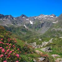 Auf dem Weg zur Trockenbrotscharte - Blick zurück Richtung Vetternspitze