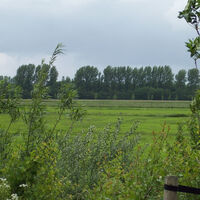 Blick in die Düffel