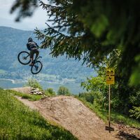 PROlitzen Trail T34