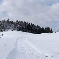 Todtmoos Rodelwanderung mit Hochkopfblick 10