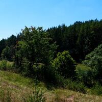 Panorama vom Feldweg mit Wald - Sülzfeld