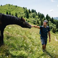Zwischen den Wiesen von Dromaè