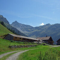 Alp Unter Precht