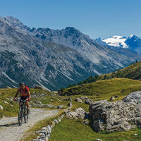 Aufstieg zum Val-Alpisella-Pass. Im Hintergrund der Ortler.