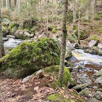 Höllfall