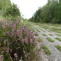 Kolonnenweg am Generalsblick
