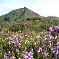 Wiedersberger Horn