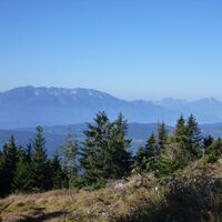 Lorenzenberg- Blick zu den Karawanken