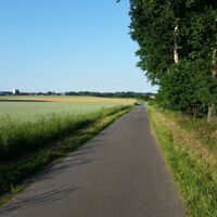 Blick auf Rosche