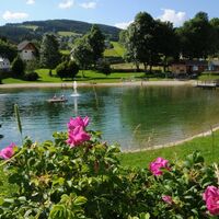 Naturbadeteich Fischbach_Ansicht_Oststeiermark
