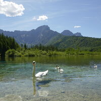 fabelhafte Flora und Fauna