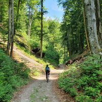 Die Schotterstraße, die zum Camping Bled führt