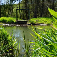 Biererlebnisweg Velburg