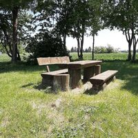 Auf der Grünfläche unter den Bäumen in Mörlheim